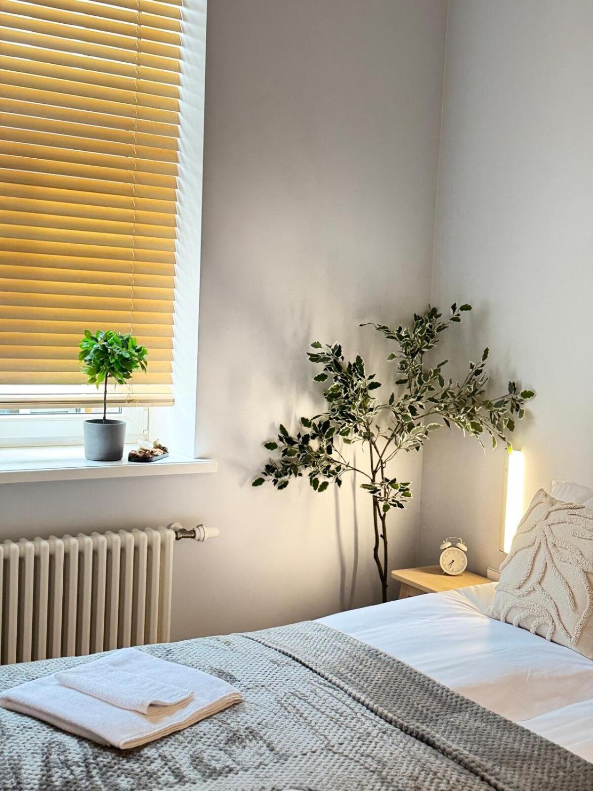 Courtyard Kalnina Apartment 리가 외부 사진